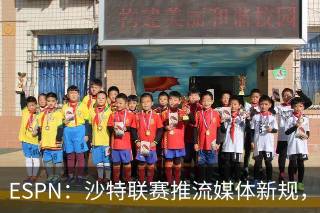 ESPN：沙特联赛推流媒体新规，C罗或凭10亿粉丝获巨额分成